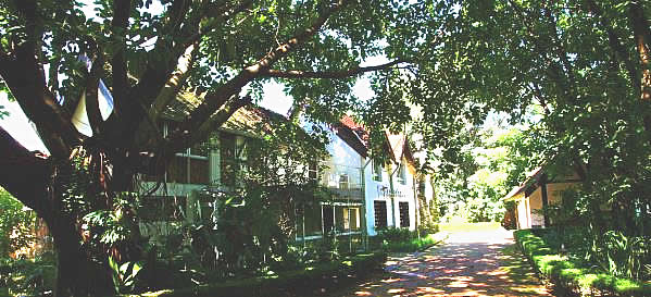 FISCHERHAUS Parkseite