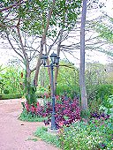 Bl&uuml;ten
